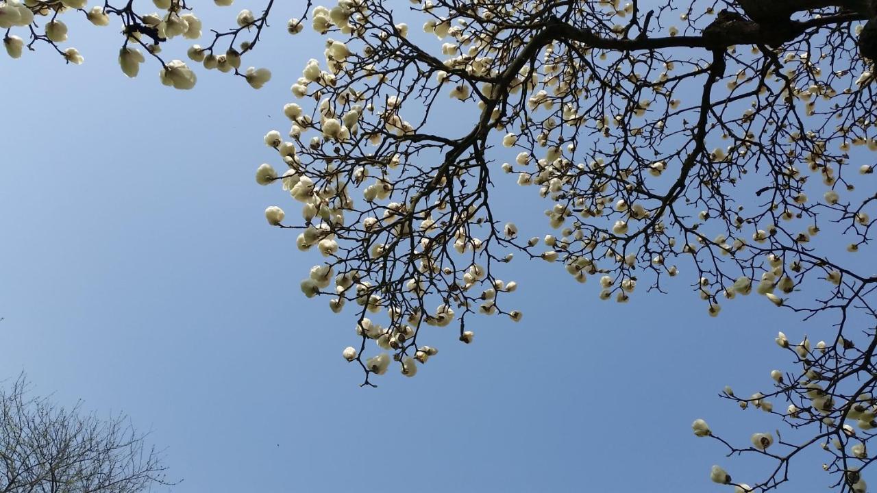 B&B La Cascina Grossa 亚历山德里亚 外观 照片