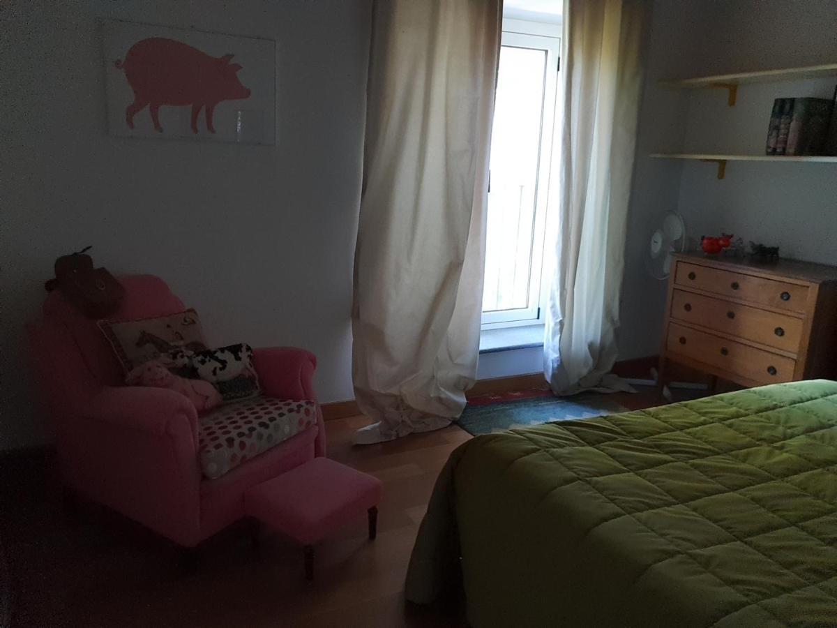 B&B La Cascina Grossa 亚历山德里亚 外观 照片